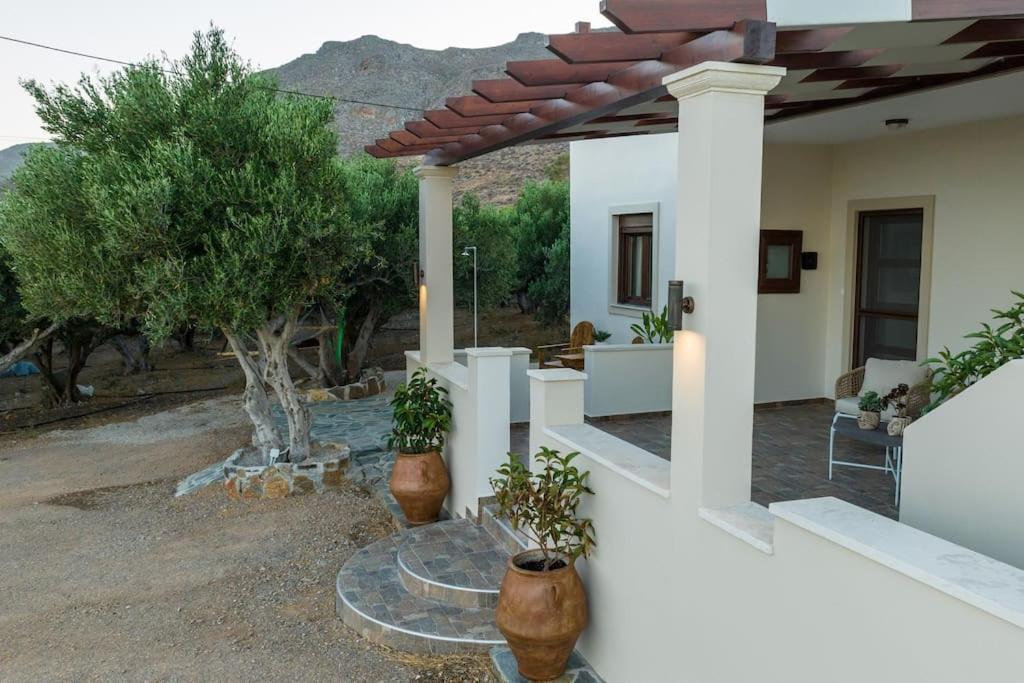 Apartment Kleopatra Xerokampos (Crete)